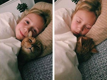 dormir à coté de son chat, bien bordés sous la couette