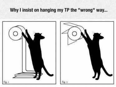 Instructions papier toilettes pour chat