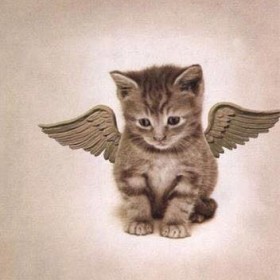 le chaton ange