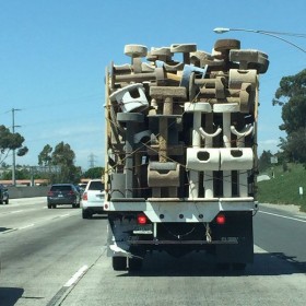 Camion rempli d'arbres à chat