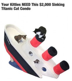 Arbre à chat Titanic