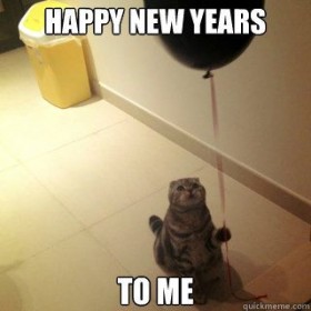 Bonne année 2016 à tous les petits chats !