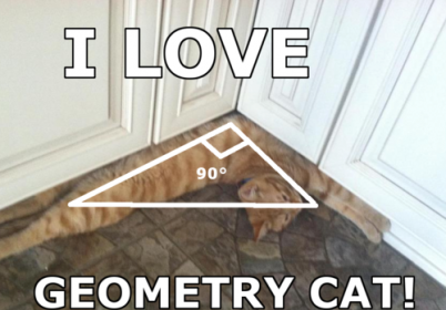 j'aime la géométrie des chats