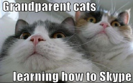 grand parents chats qui apprennent à skyper