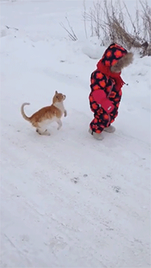 chat qui fait tomber un enfant à la neige
