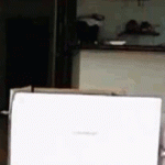 chat qui saute d’un carton