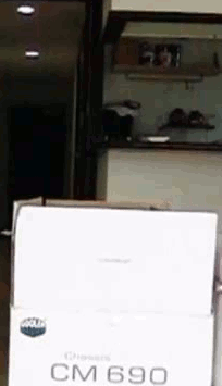 chat qui saute d'un carton