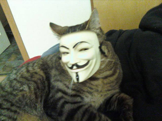 Chat Anonymous