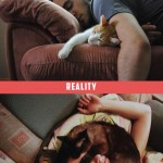 dormir avec son chat, attentes vs. réalité