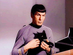 chat noir dans Star Trek
