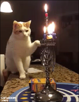chat qui éteint une des bougies du chandelier et qui tombe ...
