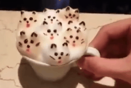 des petits chats en chamallow qui prennent leur bain dans votre café